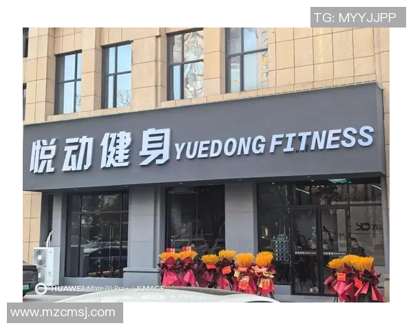 长沙健身器材批发市场全面解析助您轻松选购高性价比健身设备
